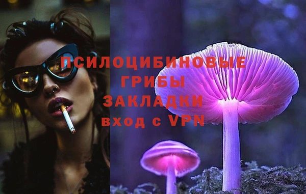 стафф Арсеньев
