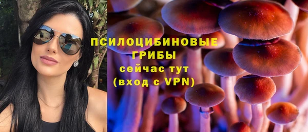apvp Баксан