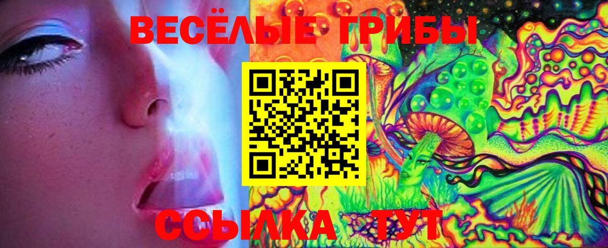 купить  сайты  Псилоцибиновые грибы Magic Shrooms  Вход с VPN  Волхов 