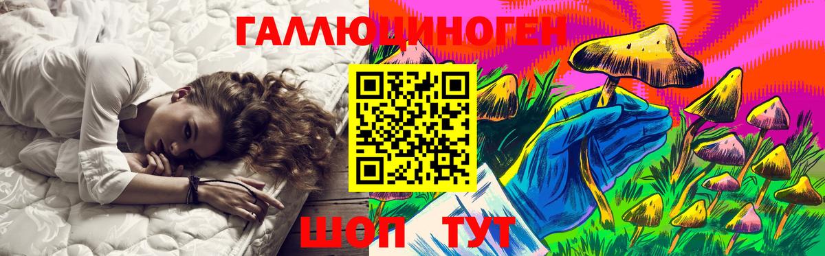 Галлюциногенные грибы Psilocybine cubensis Волхов